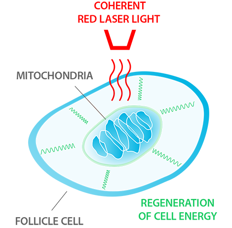 Medical Grade Red Light Laser Therapy